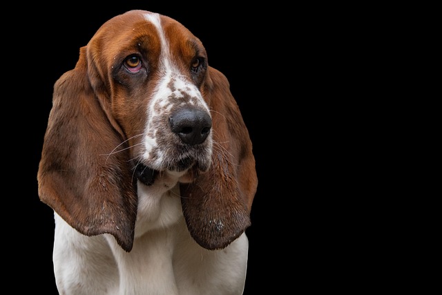 유튜브 쇼츠 자막